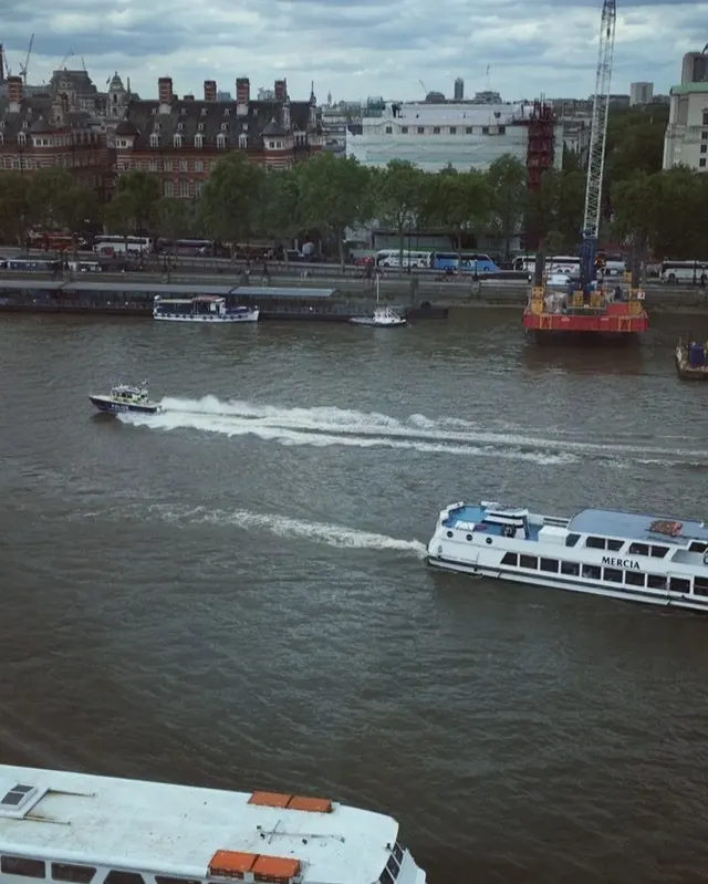 Водная полиция в Лондоне. Однако!.. (at London Eye, UK)