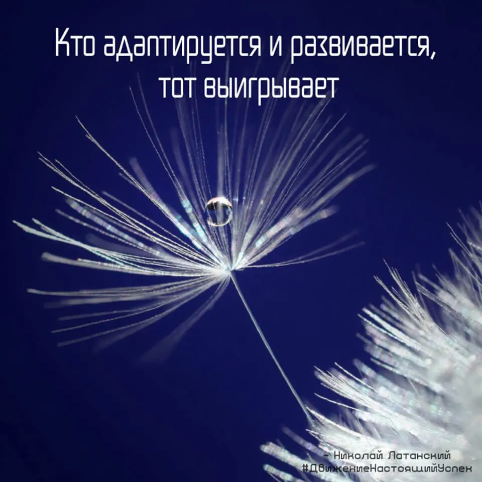 img-7