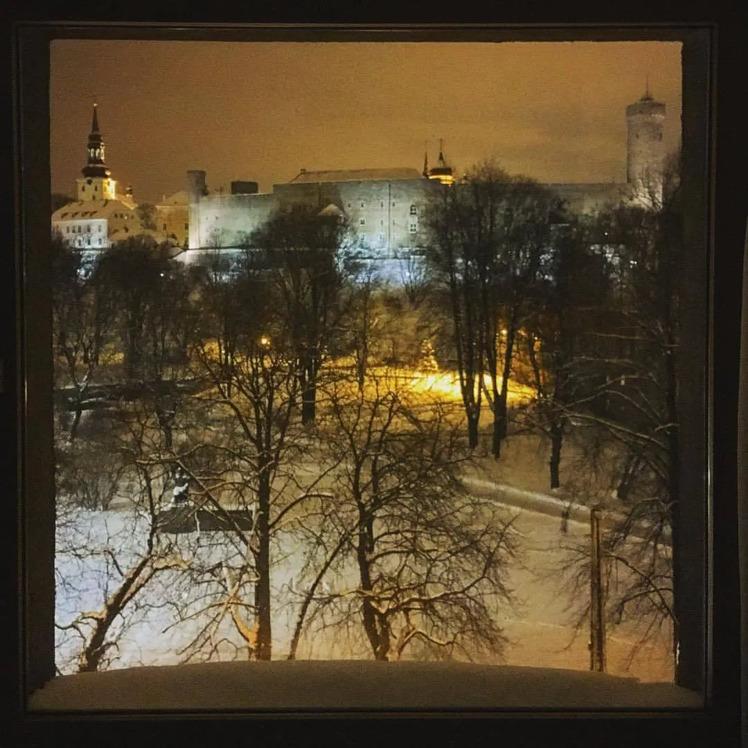 Это не картина. Это — вид из окна нашей спальни в отеле в Таллинне!!! (at Park Inn by