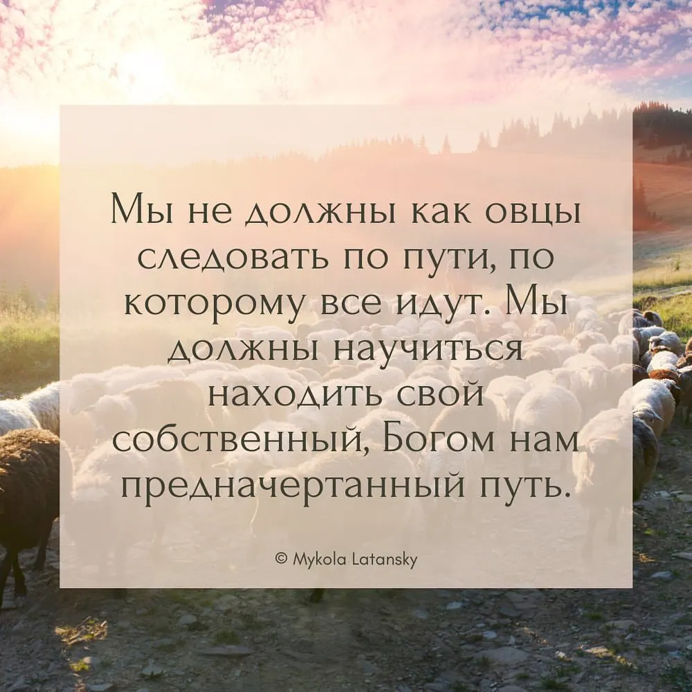 Мы не должны как овцы следовать по пути, по которому все идут. Мы должны научиться находить свой собственный,