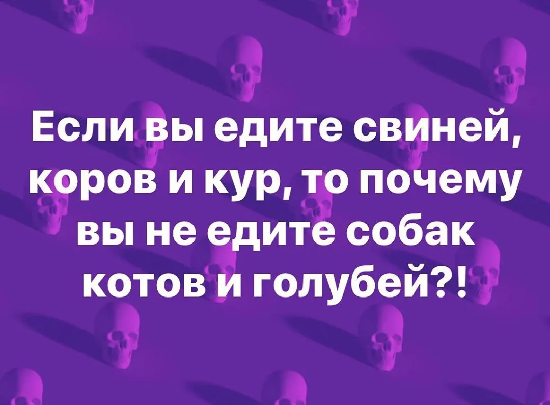 Если вы едите свиней, коров и кур, то почему вы не едите собак котов и голубей?! https://www.instagram.com/p/B-UjhH8jrxQ/?igshid=vnujb5hj3pn0