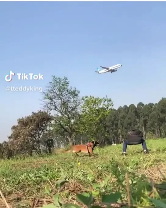 А вы так можете? https://www.instagram.com/p/BxHULQ5DECA/?utm_source=ig_tumblr_share&igshid=zzkhzmg4zbtc