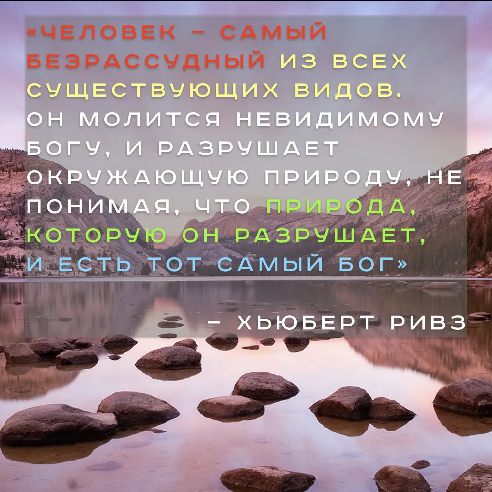 «Человек — самый безрассудный из всех существующих видов. Он молится невидимому богу, и разрушает окружающую природу, не понимая,