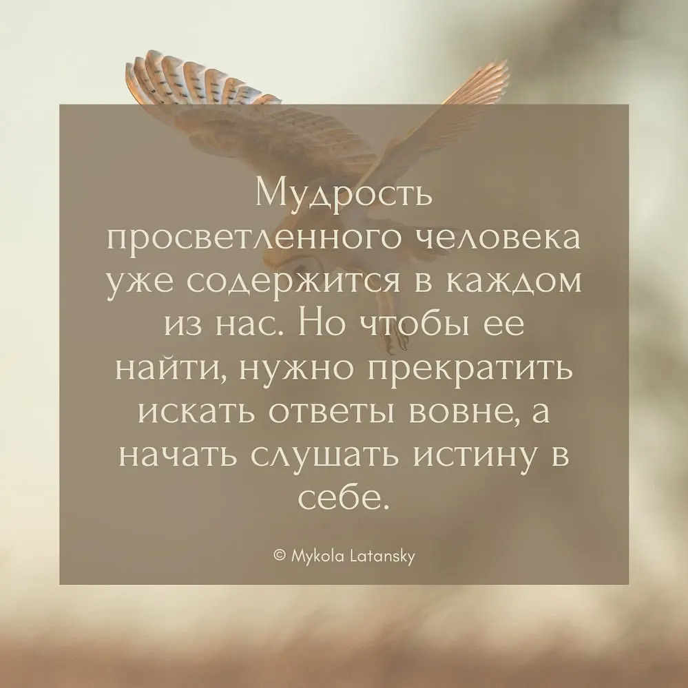 Мудрость просветленного человека уже содержится в каждом из нас. Но чтобы ее найти, нужно прекратить искать ответы вовне,