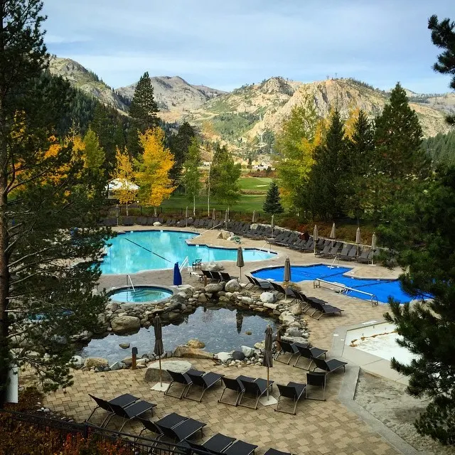 Завтракаем. А за окном ЭТО!.. (at Resort at Squaw Creek)