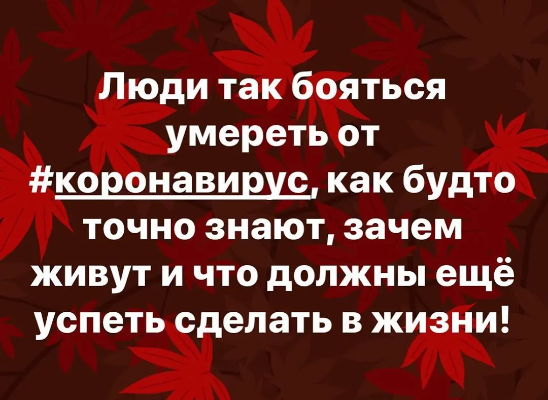 Фотография из архива