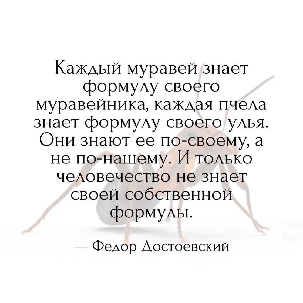 «Каждый муравей знает формулу своего муравейника, каждая пчела знает формулу своего улья. Они знают ее по-своему, а не