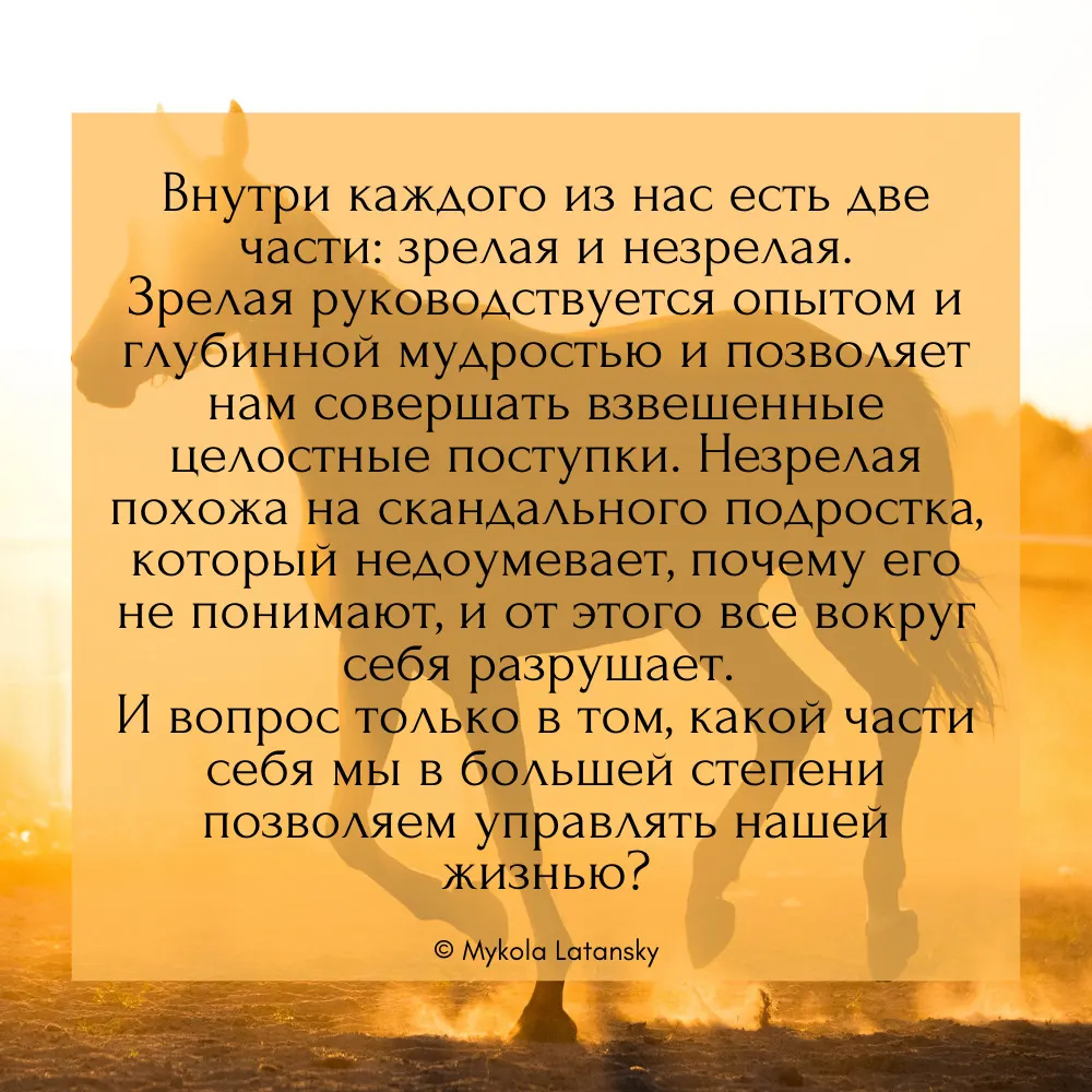 Внутри каждого из нас есть две части: зрелая и незрелая. ⠀ Зрелая руководствуется опытом и глубинной мудростью и