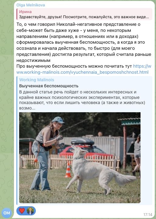 Отзыв Olga Melnikova об участии в MetaGame™, сезон №29