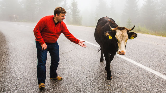 «Счастливая Корова» поможет быстро и просто найти вегетарианские, веганские и сыроедческие заведения фото