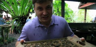 Латанский о кофе картинка