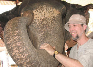 отзыв Андросюка о тренинге Латанского фото