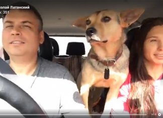 дорога в Киев картинка